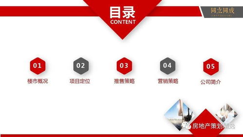 房地產(chǎn)營銷策劃全流程提案與信息咨詢服務(wù)