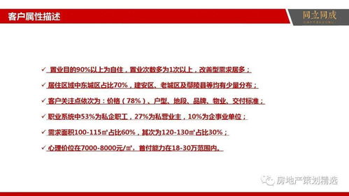 房地產(chǎn)營銷策劃與信息咨詢?nèi)娼鉀Q方案