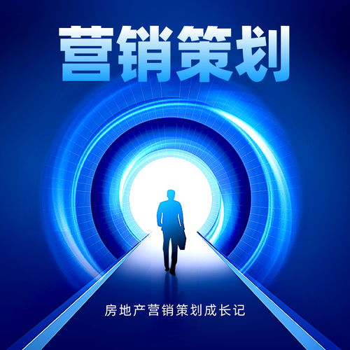 房地產(chǎn)營銷策劃成長記 從拓荒時(shí)代到精細(xì)化運(yùn)營的蛻變之路