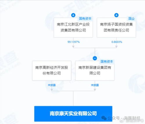 電大大專生研發政務軟件變身大股東 大漢軟件實控人疑點重重